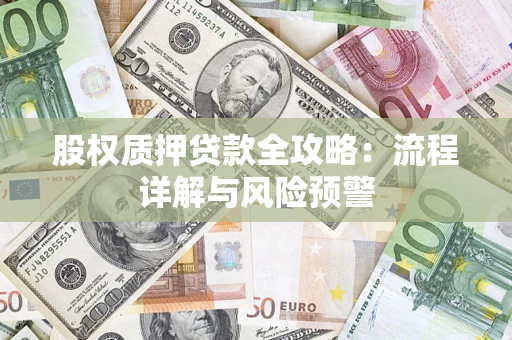 济南股权质押贷款全攻略：流程详解与风险预警