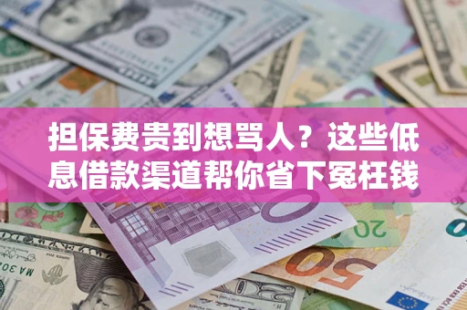 济南担保费贵到想骂人？这些低息借款渠道帮你省下冤枉钱