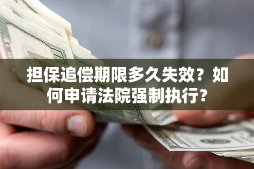 济南担保追偿期限多久失效？如何申请法院强制执行？