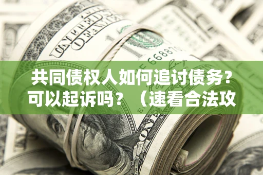 济南共同债权人如何追讨债务？可以起诉吗？（速看合法攻略）
